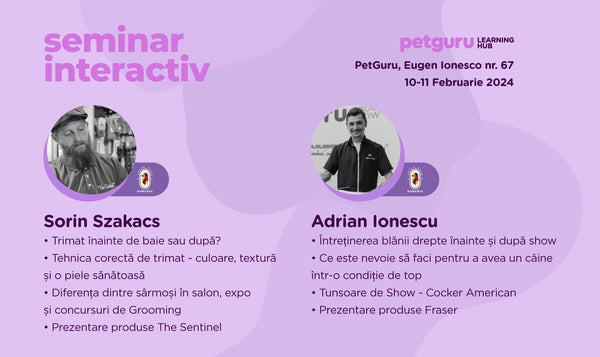 seminar  pregatire toaletaj canin grooming