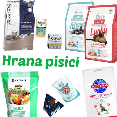 hrana pisici