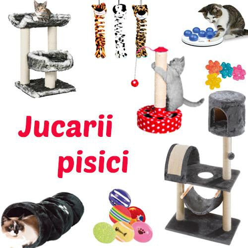 jucarii pisici