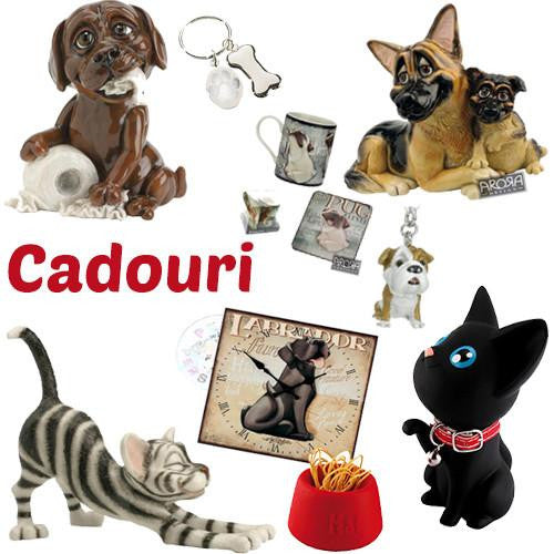 idei cadouri