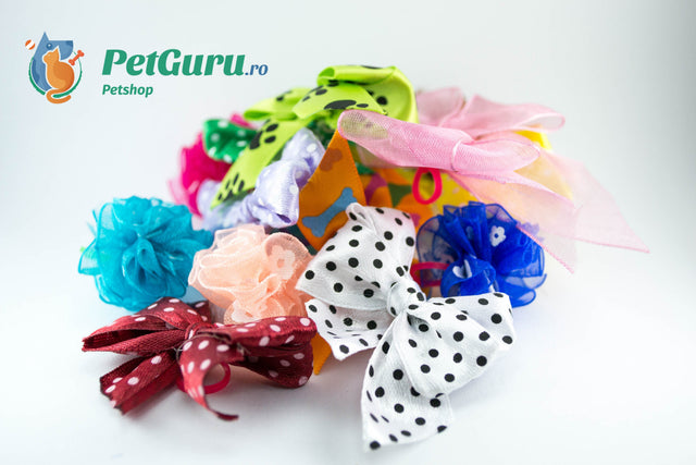 Fundite si papioane