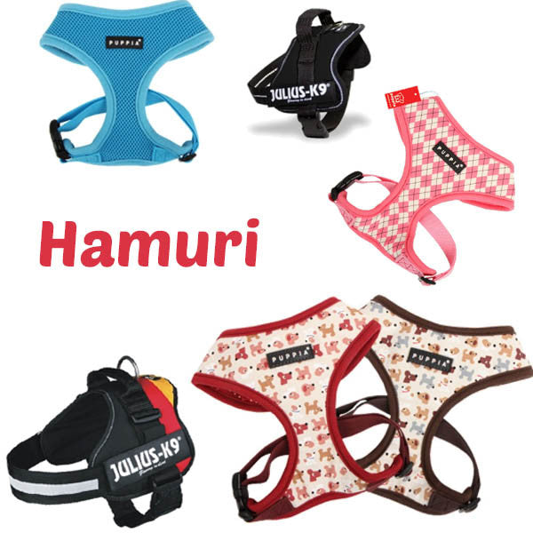 hamuri caini