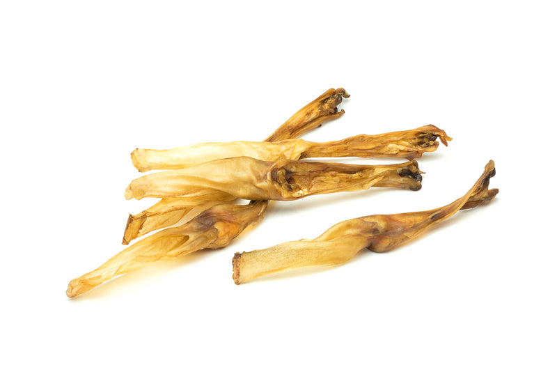 Ferribiella Urechi de iepure