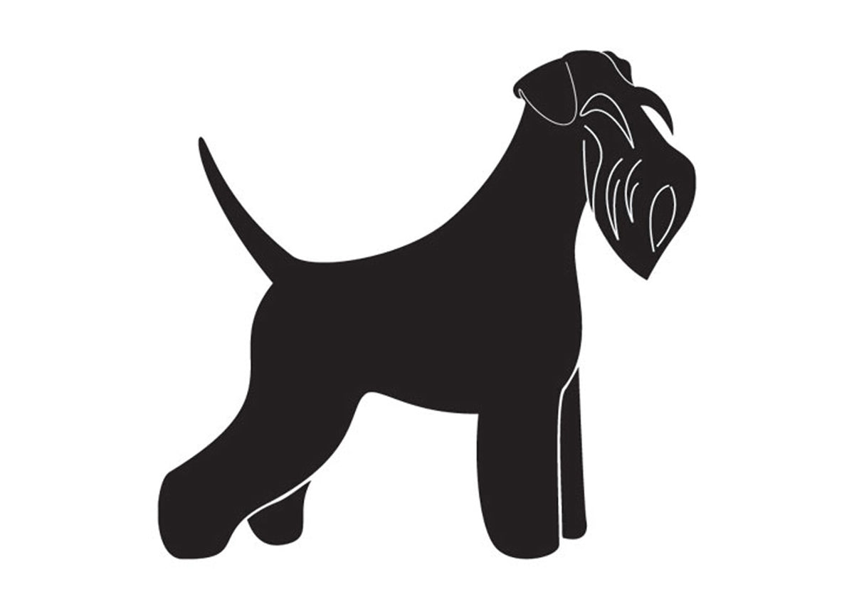 Autocolant Schnauzer Negru 10cm dreapta