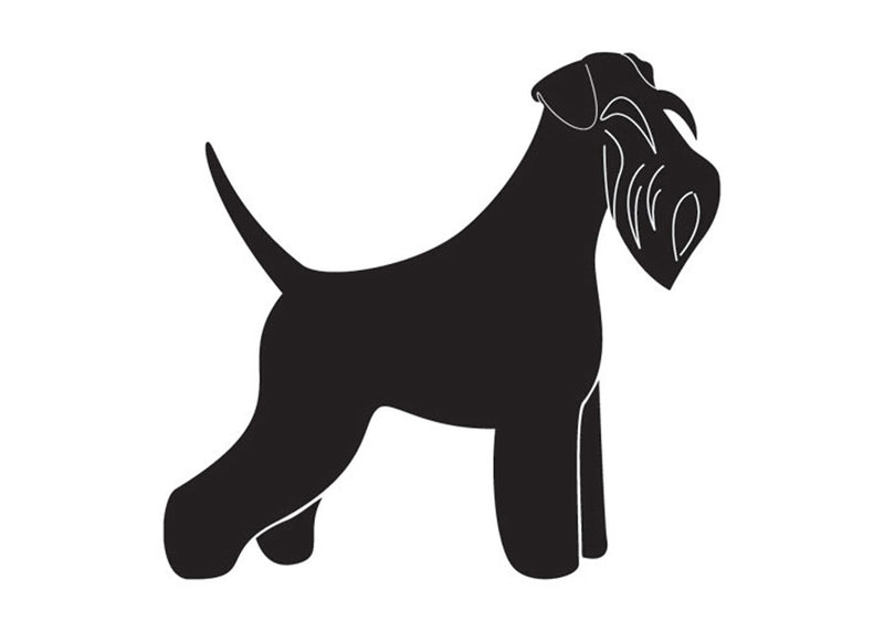 Autocolant Schnauzer Negru 10cm dreapta