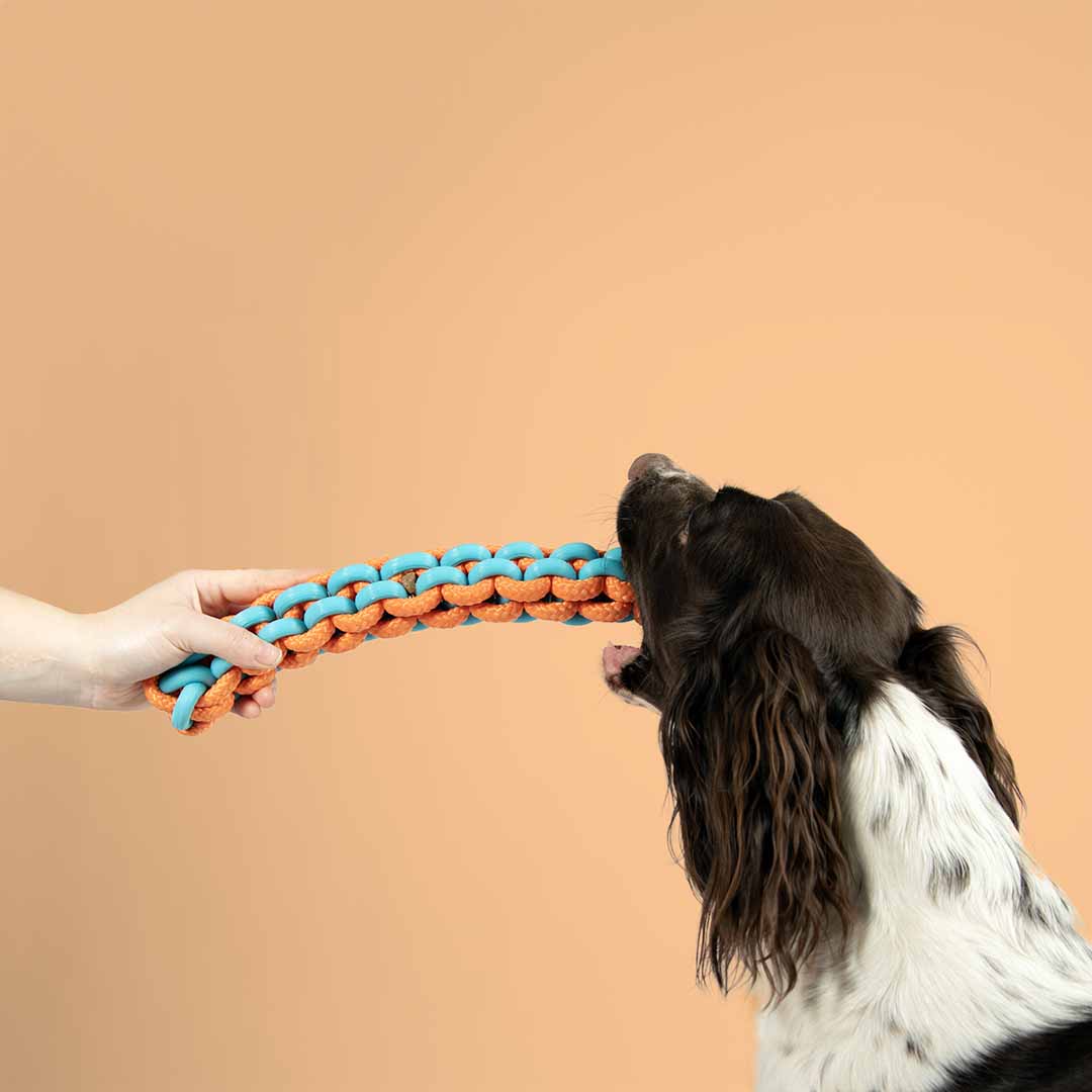 Jucarie pentru Câini TWISTING TUGGER 45x4,5x4,5cm Albastru/Portocaliu