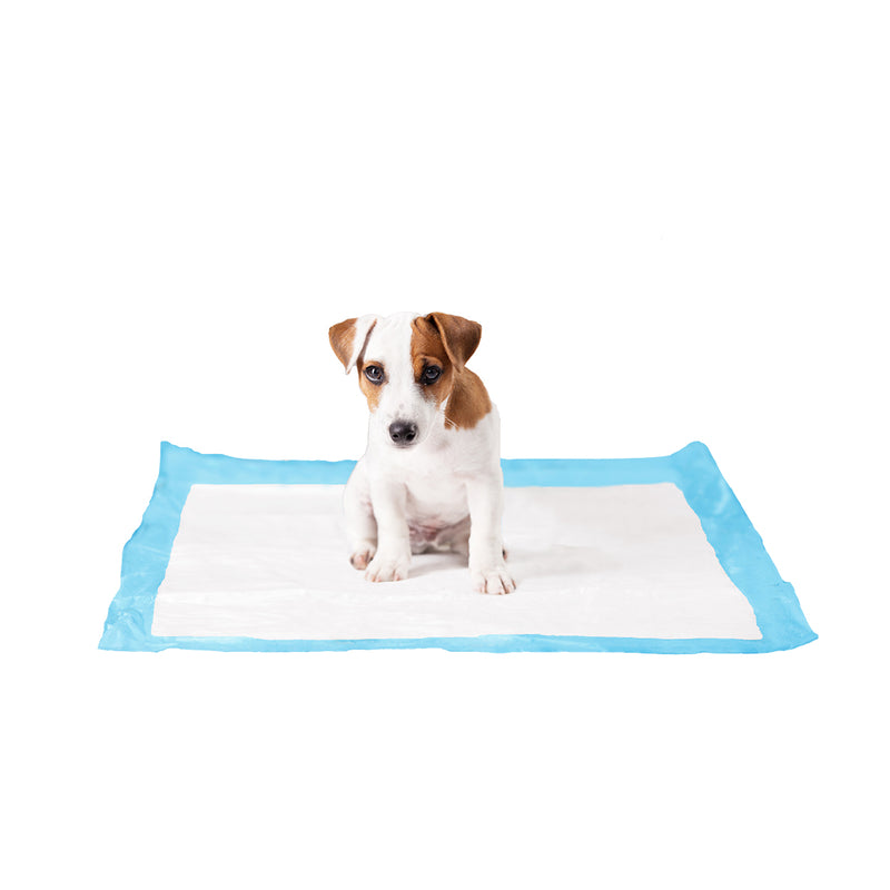 Trainer Pet Pad Iarba Proaspata  M 30buc, 30x45cm
