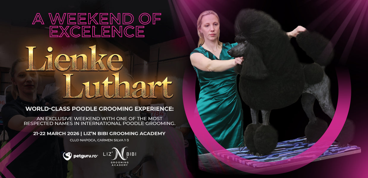 A weekend of execellence