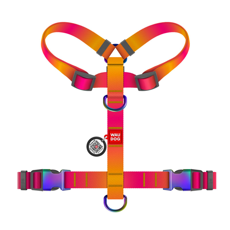 Waudog Ham nylon reciclat, gradient portocaliu