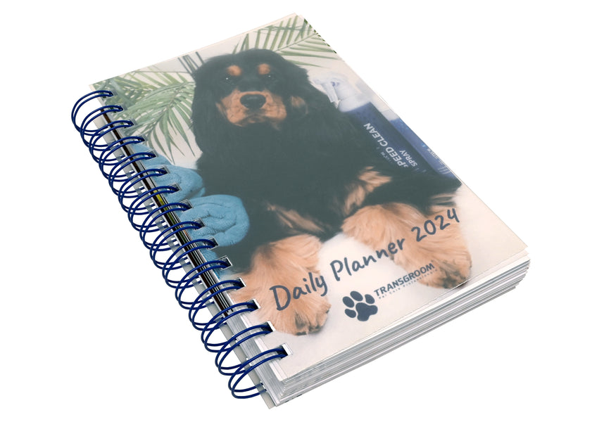 Agenda Transgroom 2024