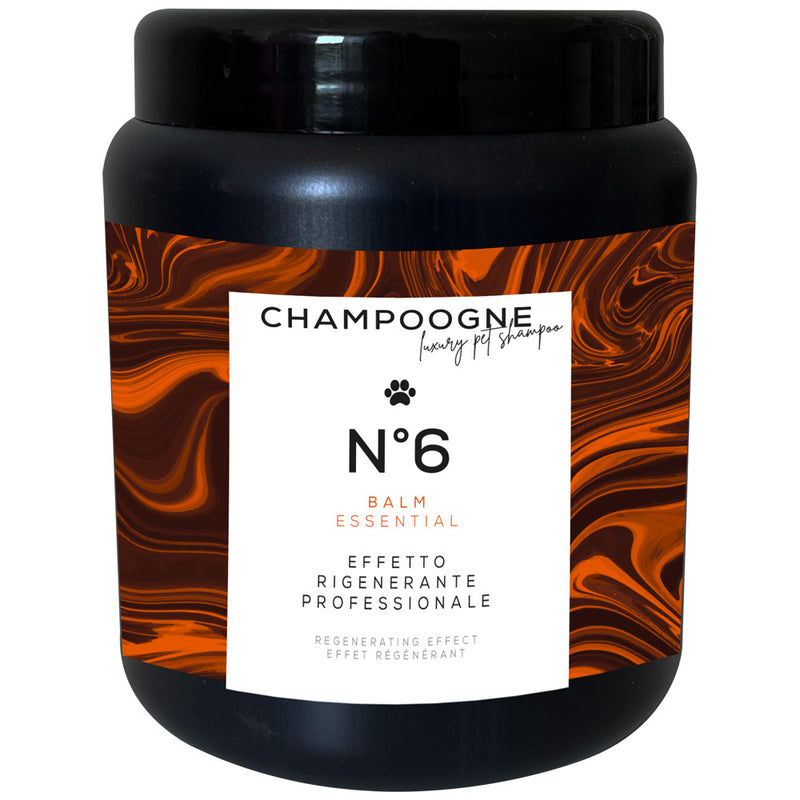 Champoogne Masca pentru Regenerarea parului N.6