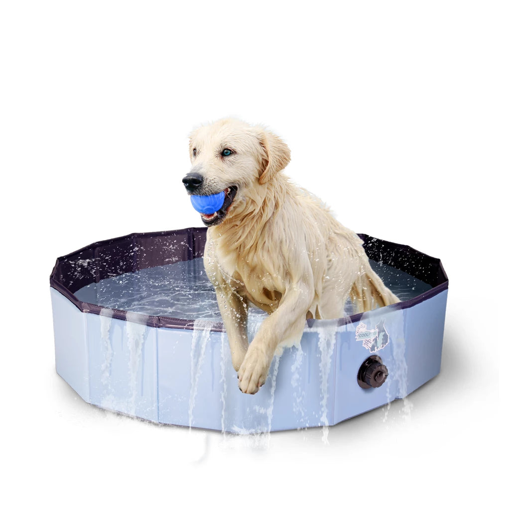 CoolPets Splash Zwembad Piscina Caini 120x30 cm