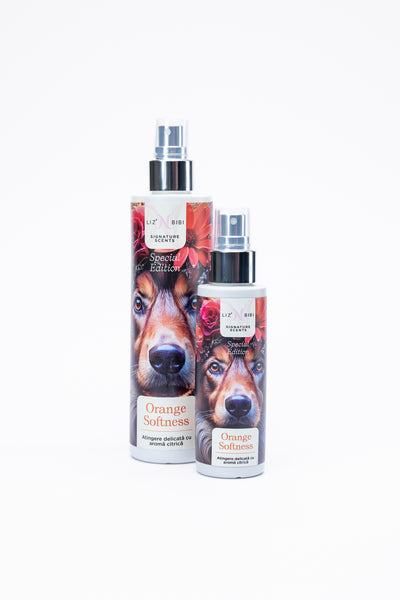 LIZ'N BIBI Parfum  Orange Softness