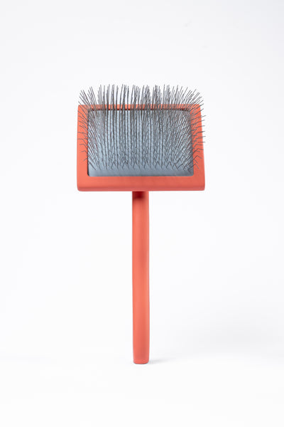 LIZ’N BIBI Edge Perie Slicker Curb L Coral