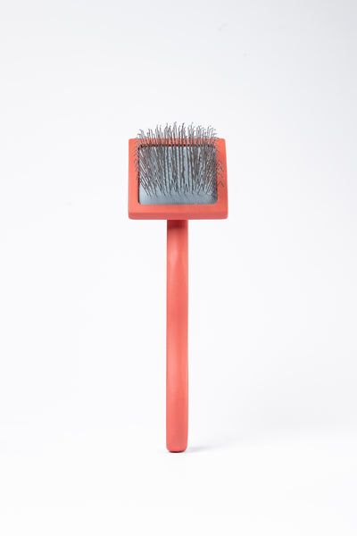 LIZ’N BIBI Edge Perie Slicker Curb S Coral