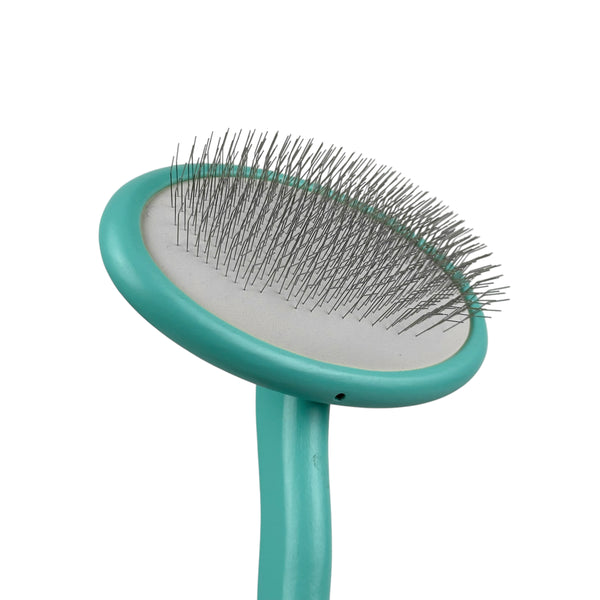 Real Groom Perie Ovala Turcoaz