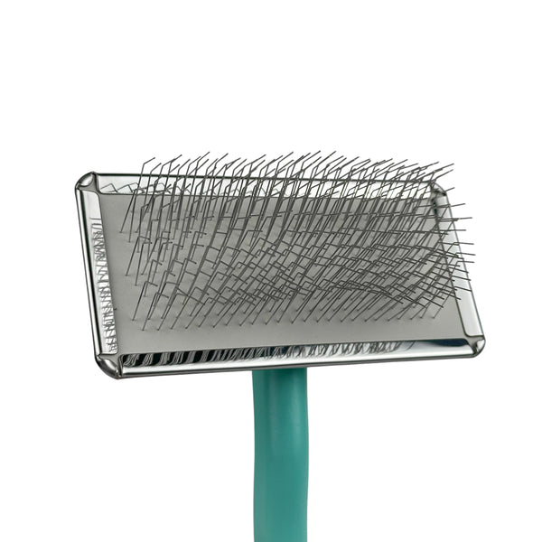 Real Groom Perie Zafiro Albastra