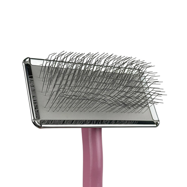 Real Groom Perie Zafiro Roz