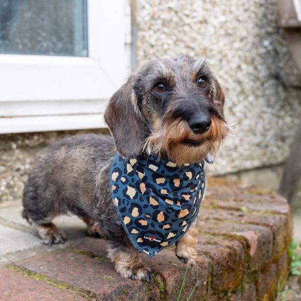 Long Paws Bandana FTD, Leopard Verde&Auriu