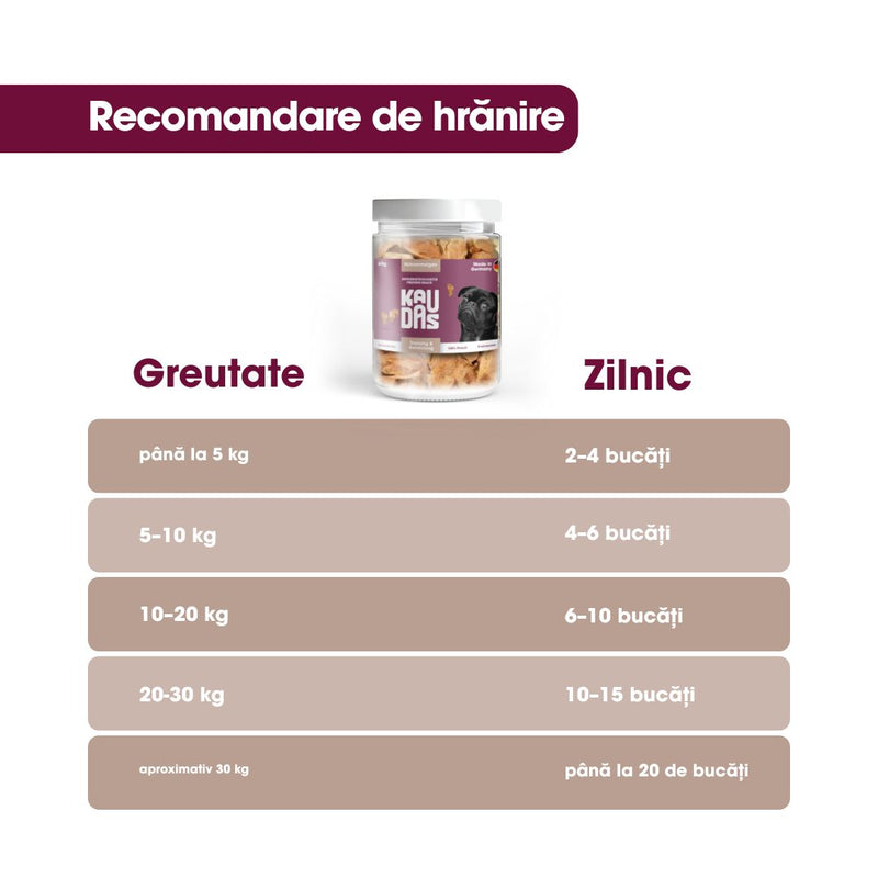 FDT Pipote de Pui Deshidratate 60g