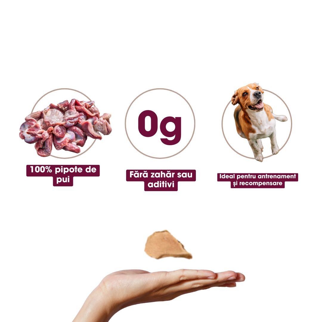 FDT Pipote de Pui Deshidratate 60g