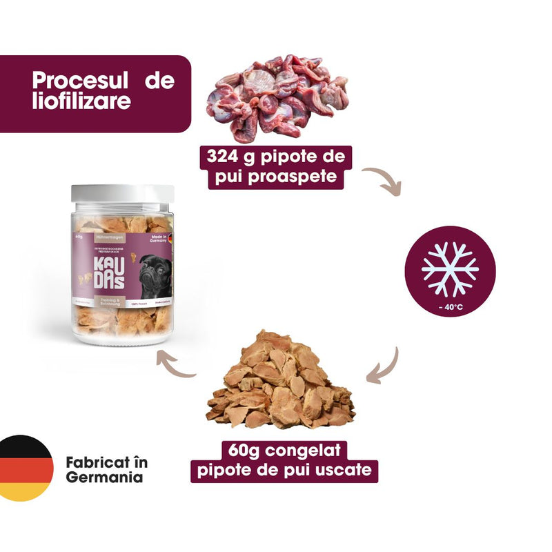 FDT Pipote de Pui Deshidratate 60g