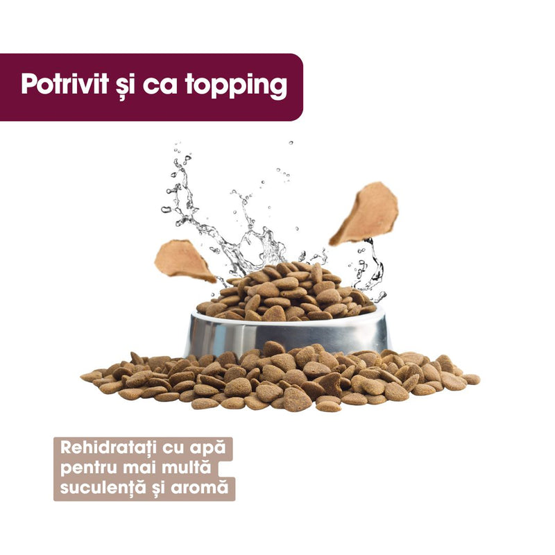 FDT Pipote de Pui Deshidratate 60g