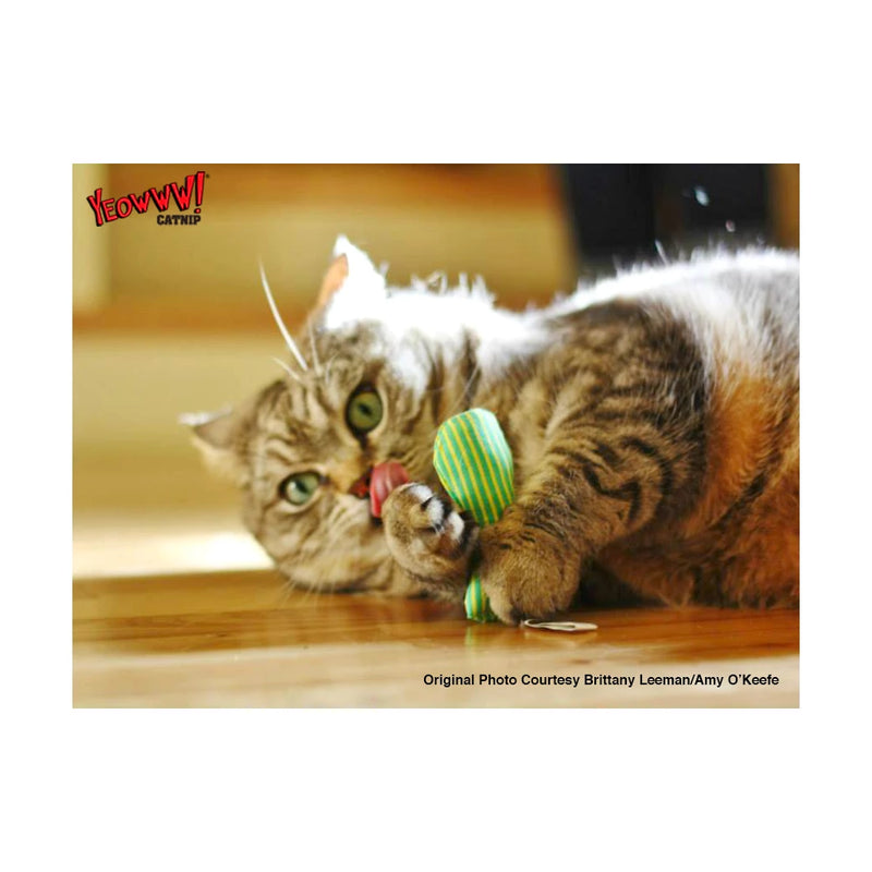 Jucarie Yeowww! Tin of Stinkies - set 3 Bucati