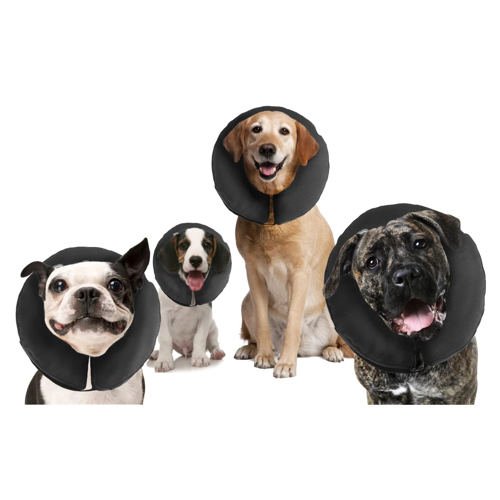 Zenpet Guler gonflabil ProCollar