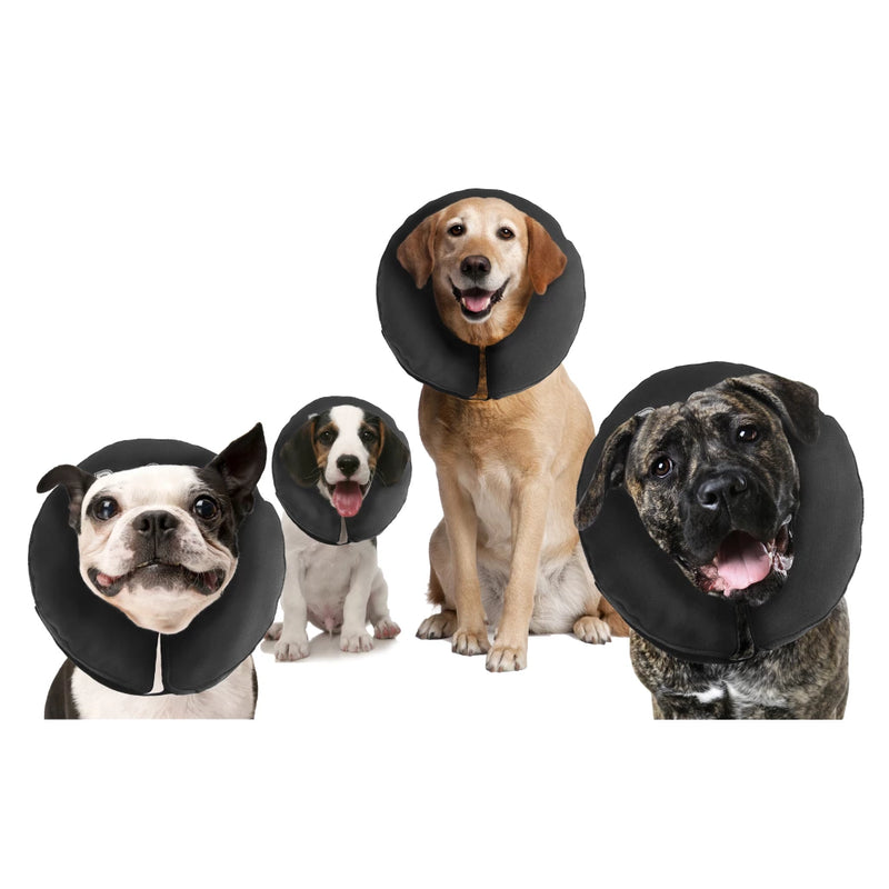 Zenpet Guler gonflabil ProCollar