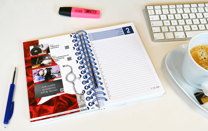 Agenda Transgroom 2024