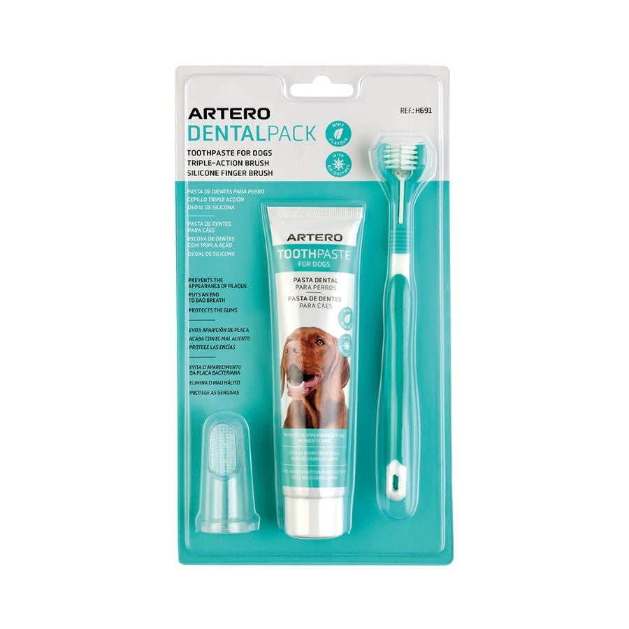 Artero Smile Set Dentar