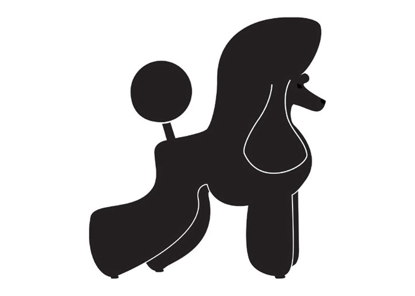 Autocolant Poodle Puppy 10 cm Negru Dreapta