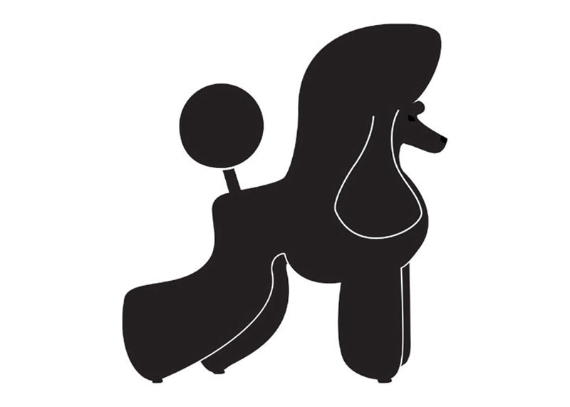 Autocolant Poodle Puppy 10 cm Negru Dreapta
