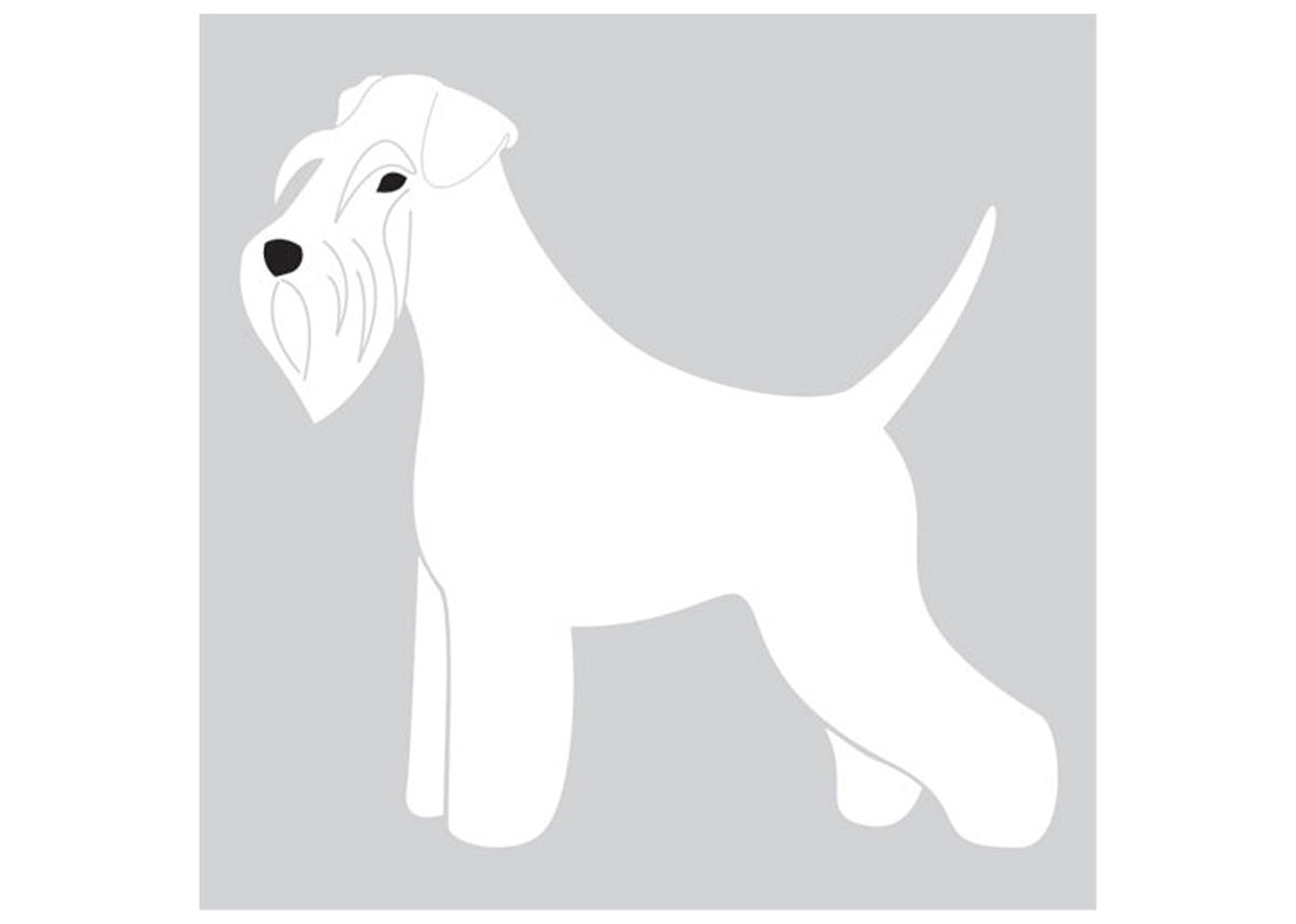 Autocolant Schnauzer 25 cm Alb Stanga