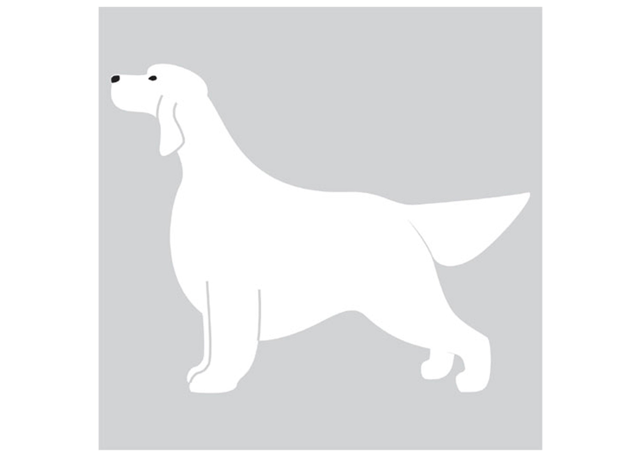 Autocolant Setter 25 cm Alb Stanga