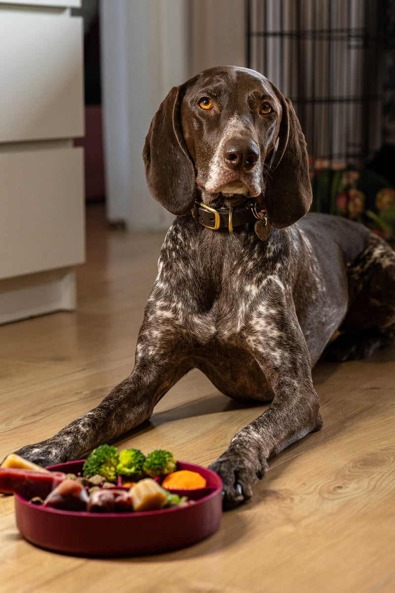 Fiboo Bol Hranire lenta Visiniu