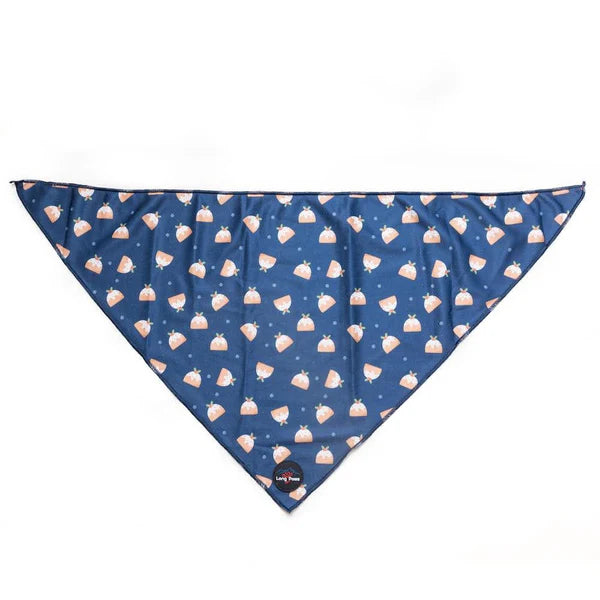 Long Paws Bandana FTD Blue Pudding