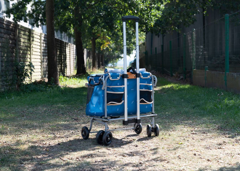 Petstro Mini Buggy