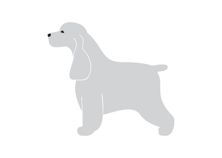 Autocolant Cocker Englez 10 cm Silver Stanga