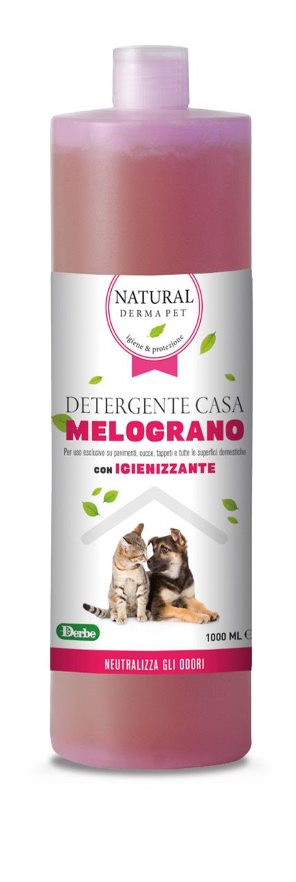 NDP Detergent Igienizant pentru Casa cu Rodie 1L