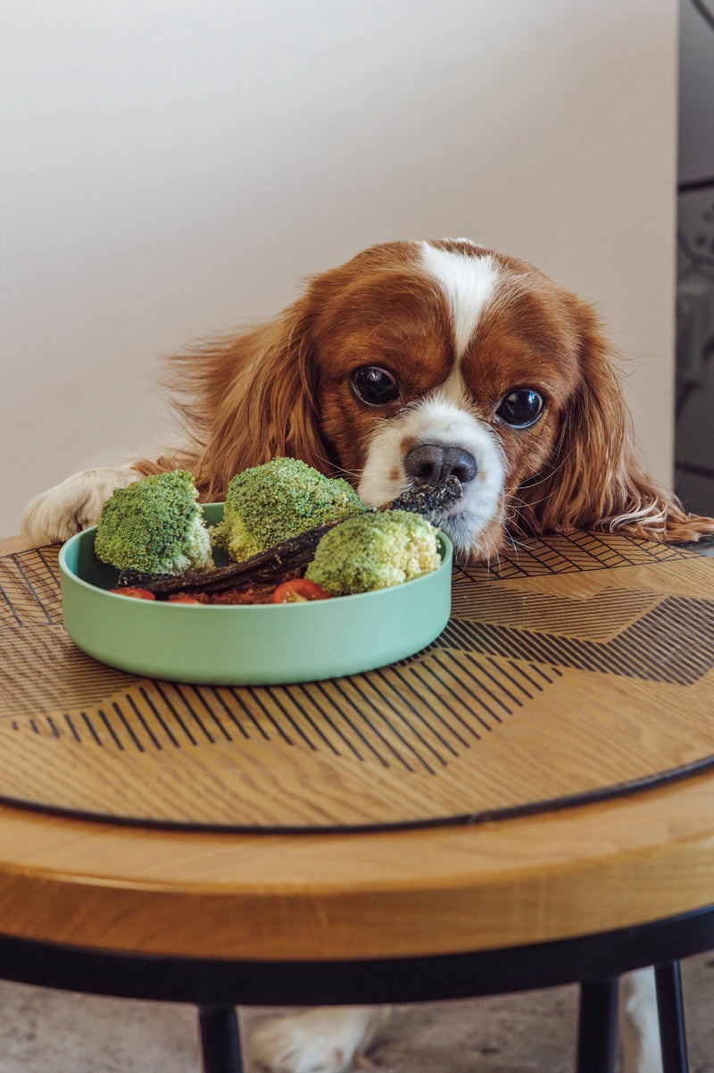 Fiboo Bol Lick Verde deschis Mini