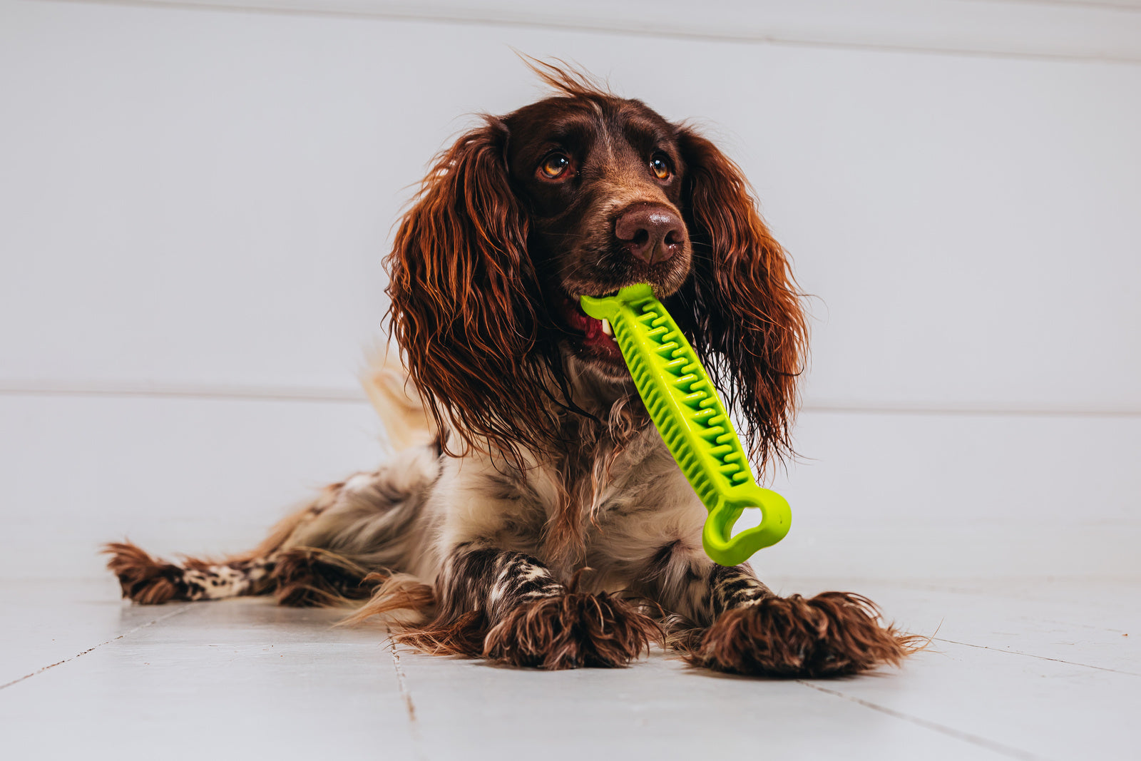 Fiboo Jucarie Dental Os Verde