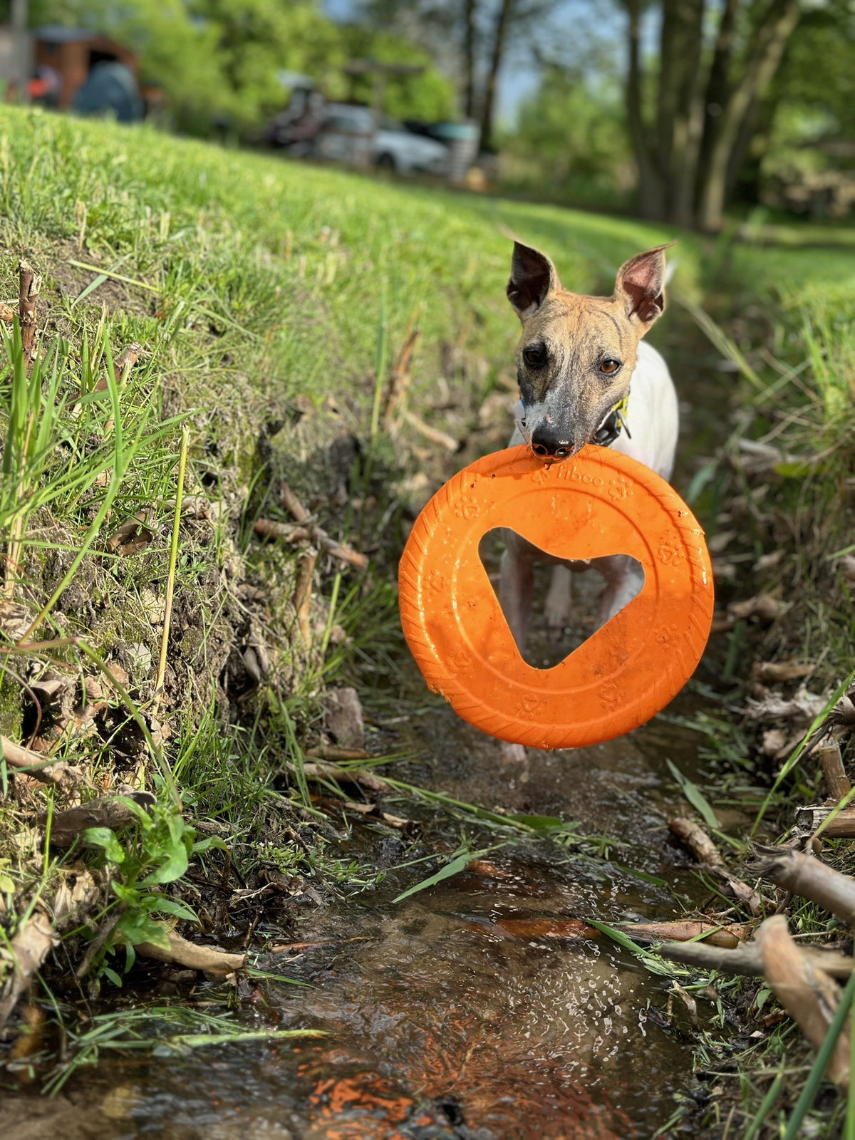 Fiboo Jucarie Frisbee Mini Portocaliu 17cm