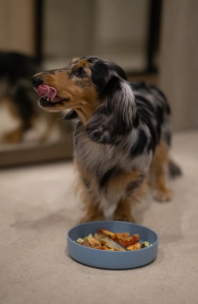 Fiboo Bol Lick Mat Albastru deschis Mini