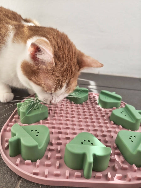 Fibnoose Lick Mat interactiv Roz