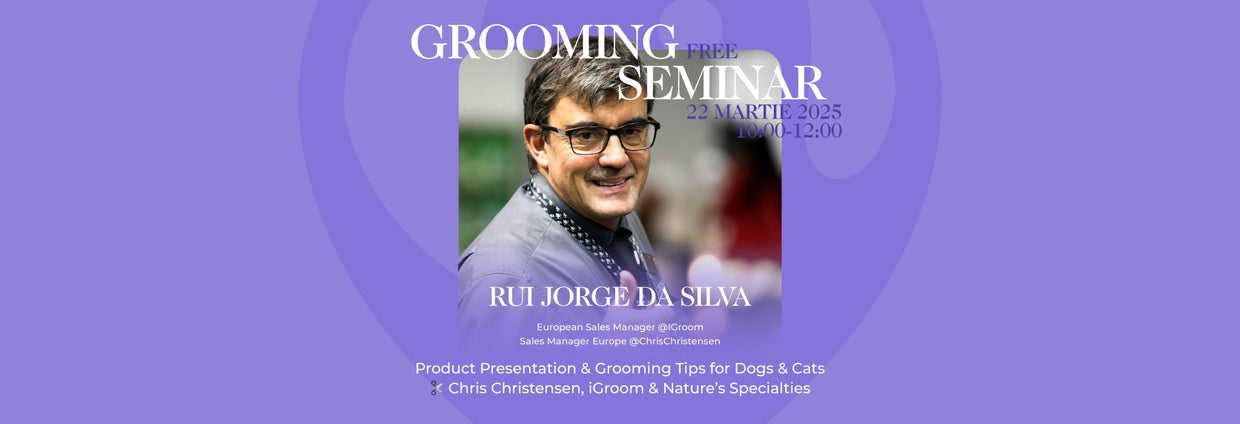 Seminar Gratuit - Rui Jorge Da Silva