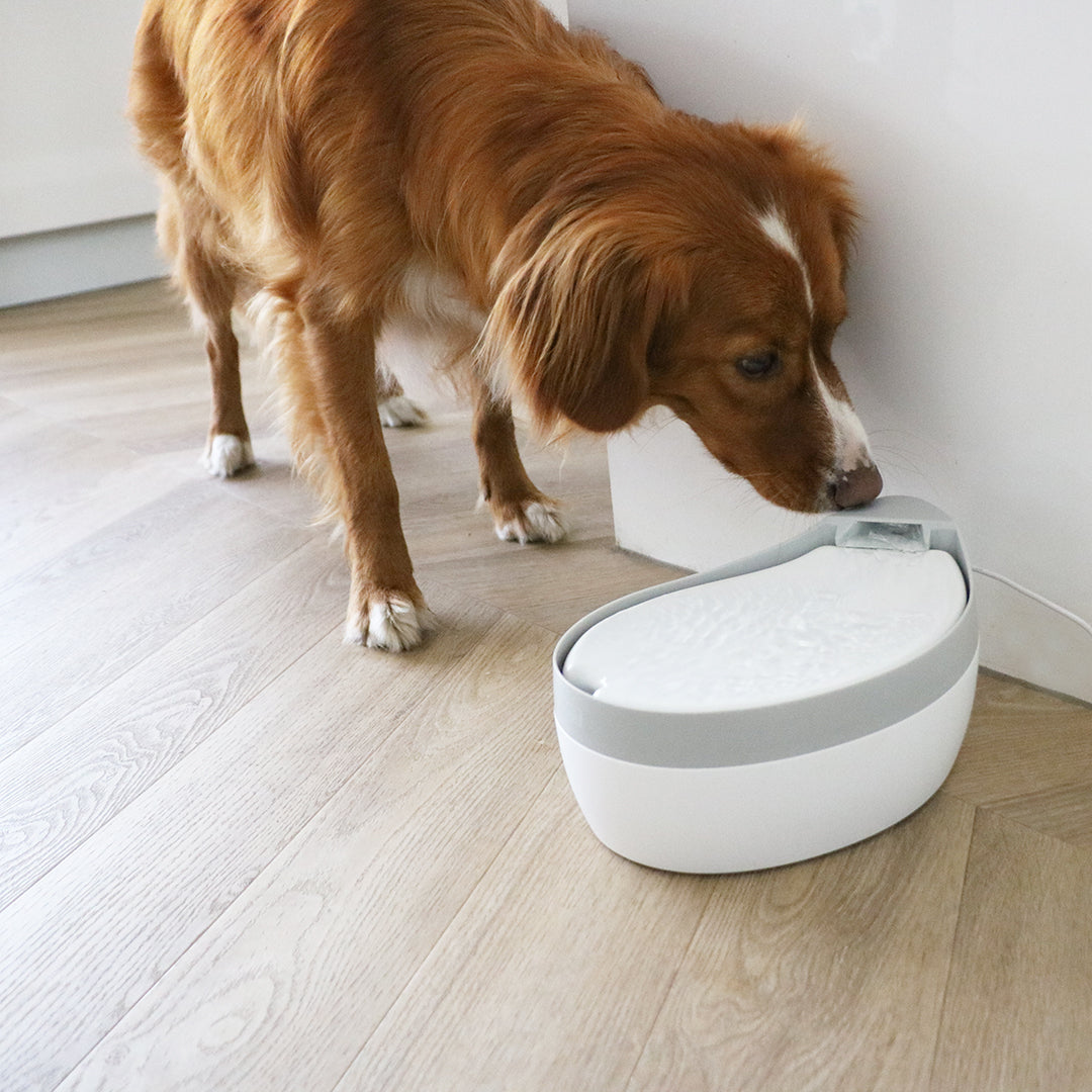 Fantana Maya 1.8L alba/gri