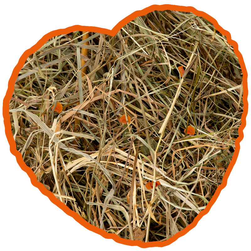 Fan cu morcovi 1 kg