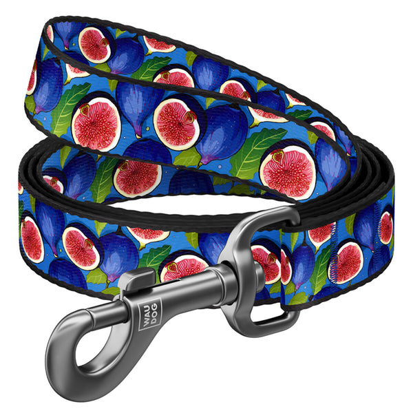 Waudog Lesa nylon Fig